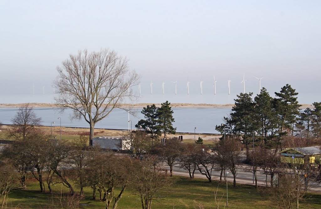 The windmills on Middelgrunden seen from Kastrup Fortress by Benjamin Buemann