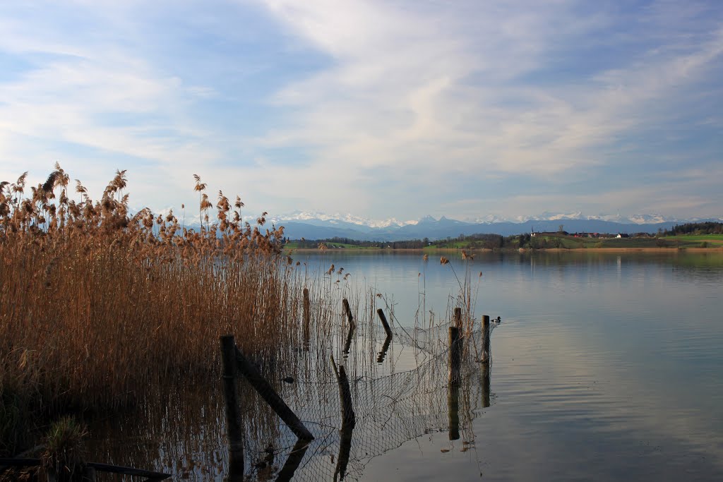 Am Ufer des Pfäffikersee by Uwe Häntsch