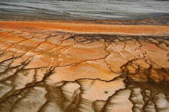 Midway Geyser Basin - Grand Prismatic Spring by Frank Merfort