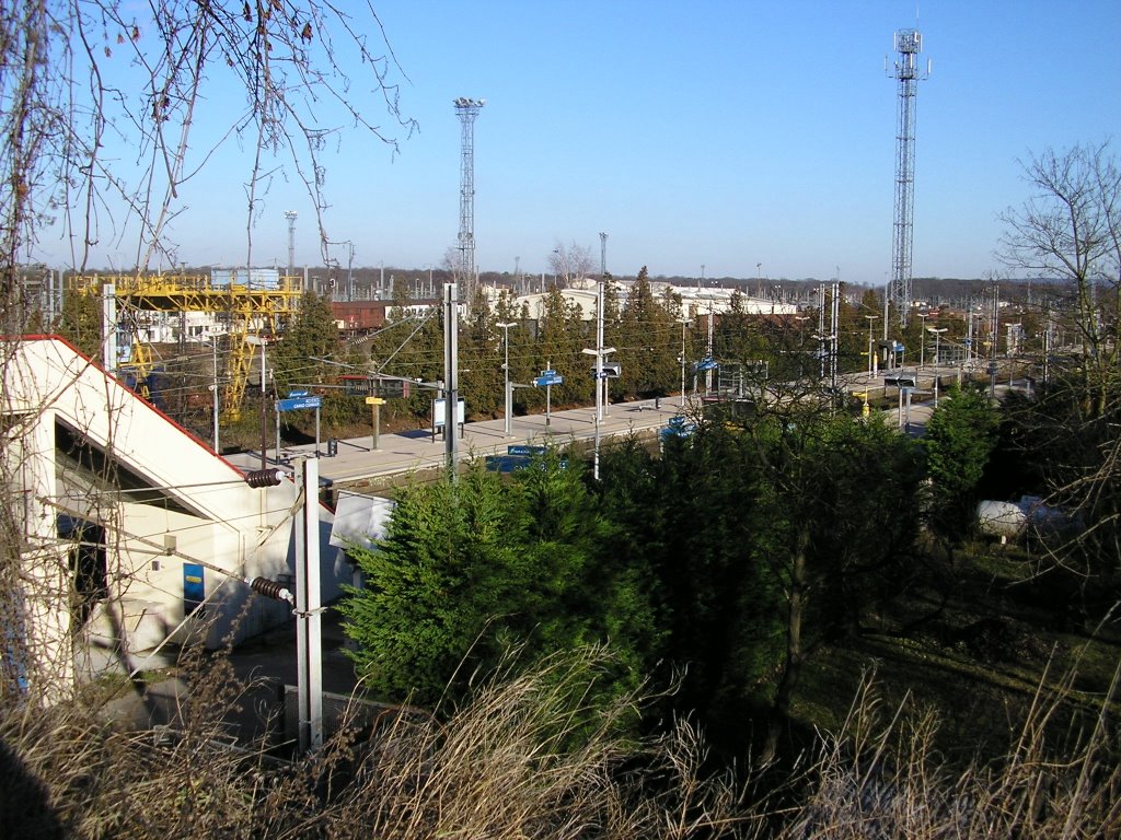 Gare d'Achères Grand Cormier dans la forêt by cyrilgéo