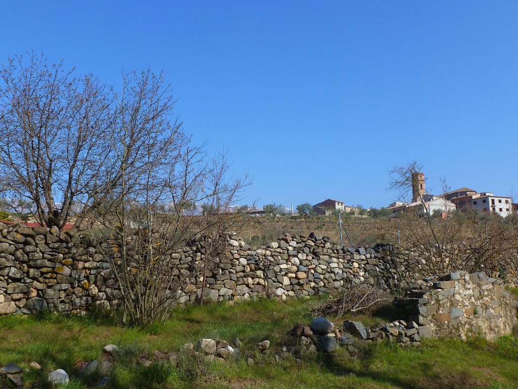 Poboleda: pared de piedra seca flanquean el Siurana, mar.2013 by Can Tres