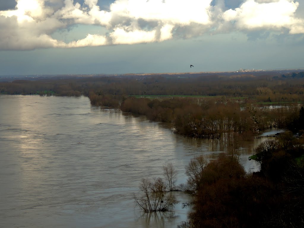 Champtoceaux, Loire, sortie de lit by tofil44