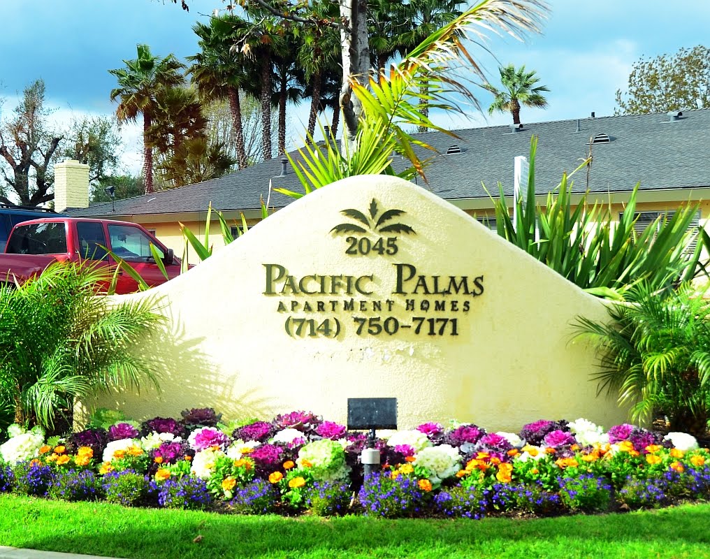 Pacific Palms by Divertida LZ