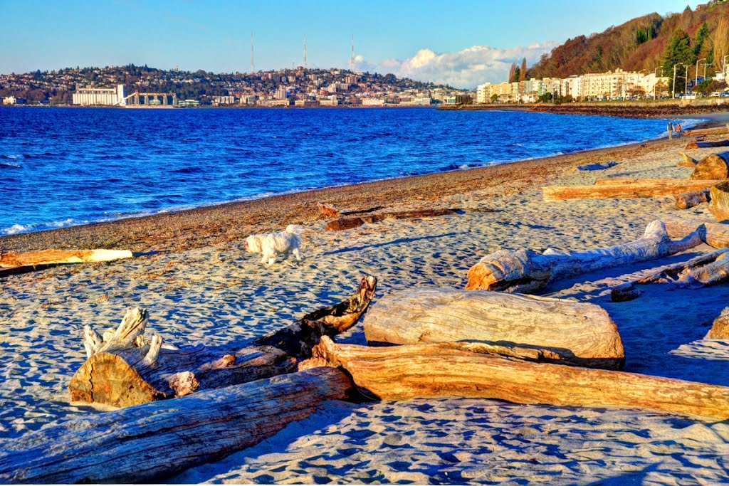 Sunset Alki Beach, West Seattle, WA by Divertida LZ