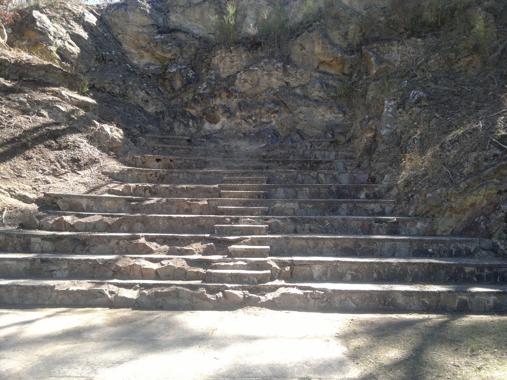 Amphitheatre style seating, lake daylesford by Greg Miles