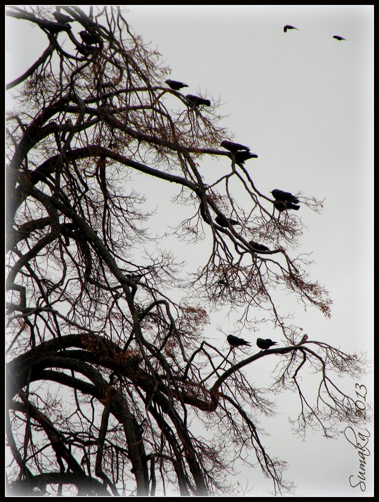 Karlshamn a grey and windy day in March 2013 by SuMaKa