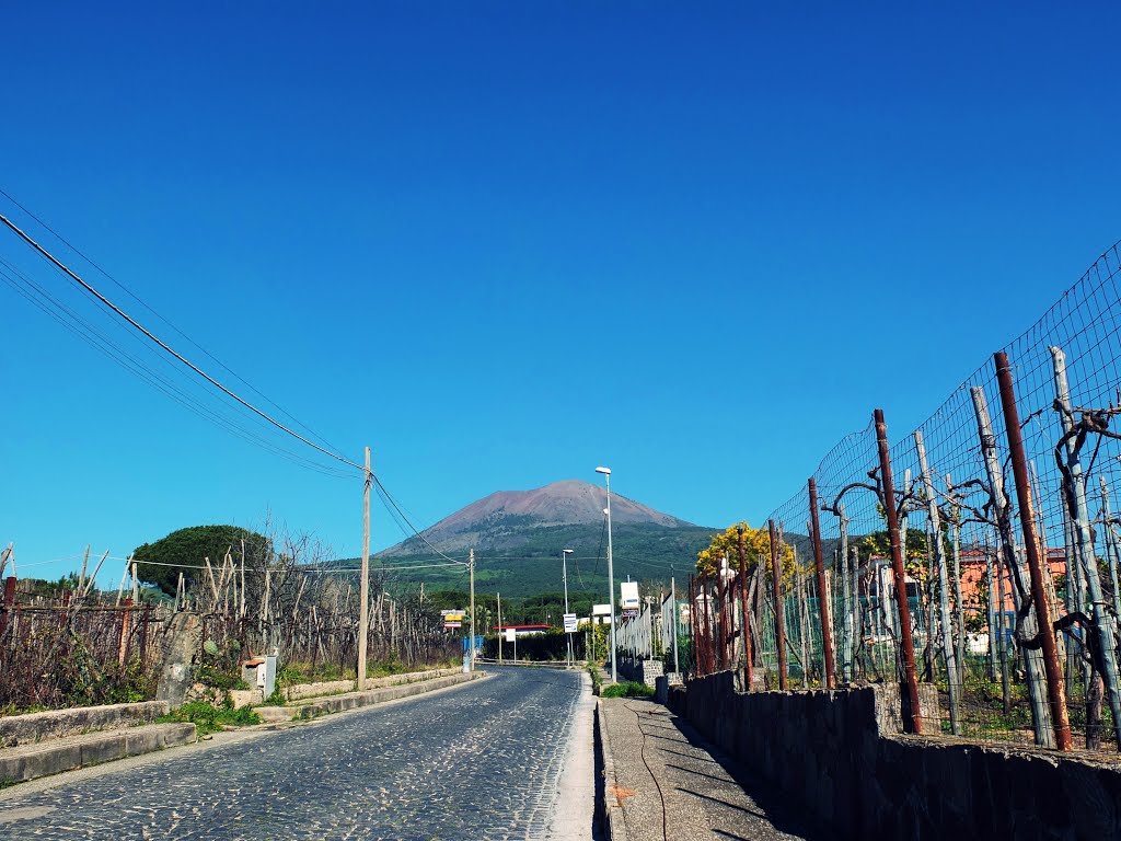 Boscotrecase; vigne del Vesuvio by Carlo Mirante