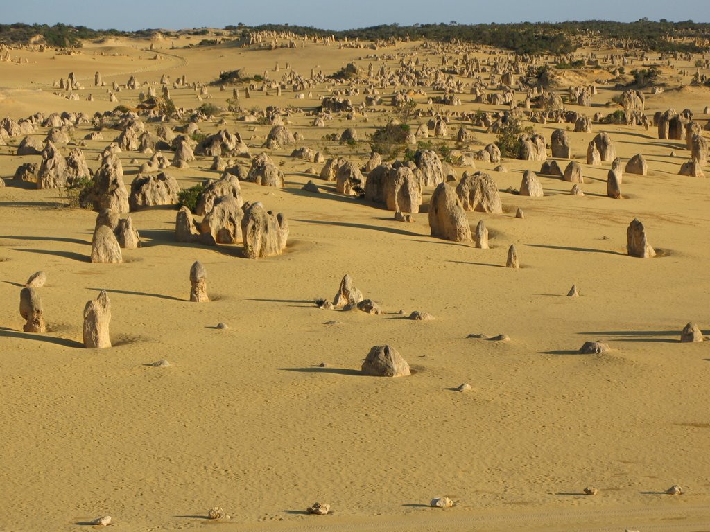 Pinnacles by Wielda