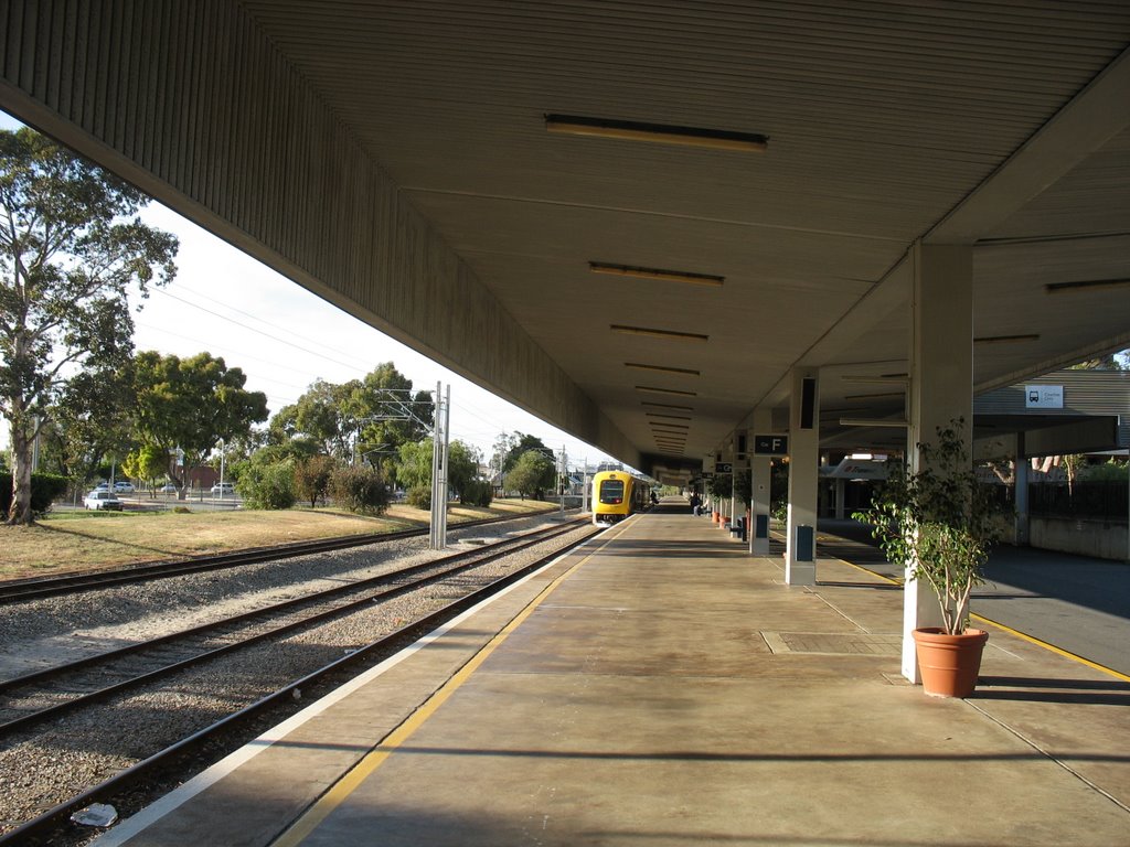 East Perth Stn. - 'Prospector' Train to Kalgoorlie - 2 by H T W Gay