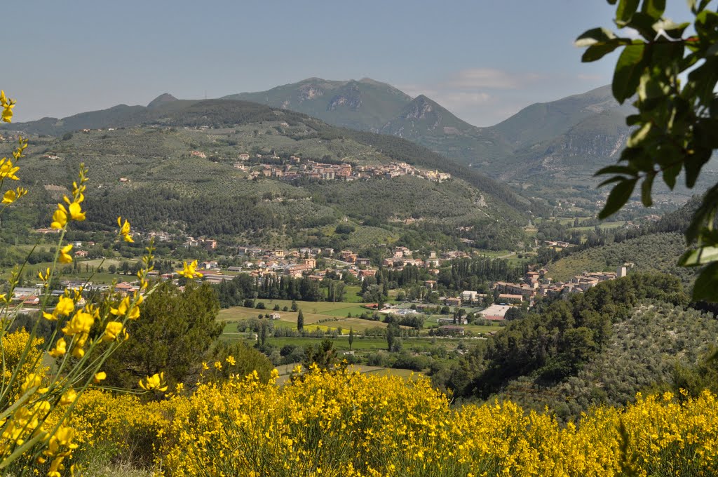 Fioritura di Giugno in Valnerina by AskyMax