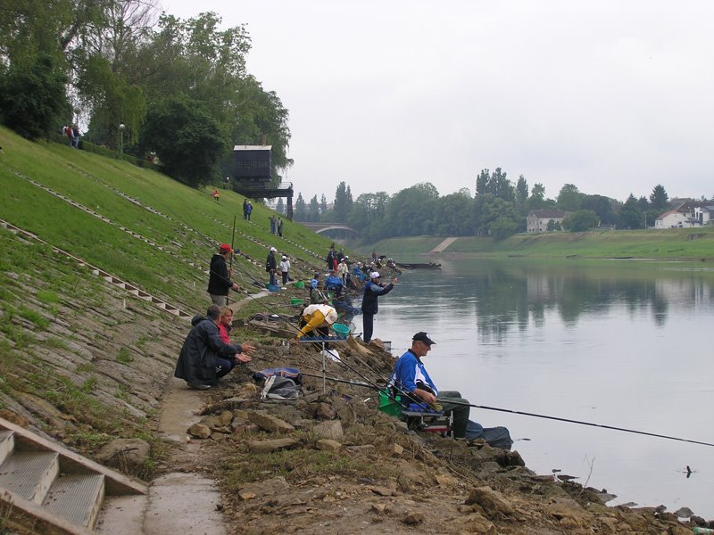 Fishing Contest by Mesud Peco