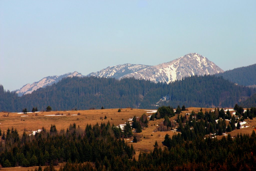 Osobitá (1687m) from Huty area by Jan Madaras