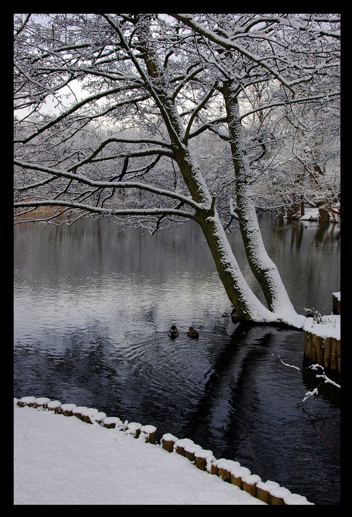 Winter in Kongens Lyngby by Lui Brandt