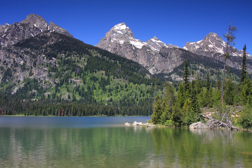 Taggart Lake and the Grand Tetons by Doug Best