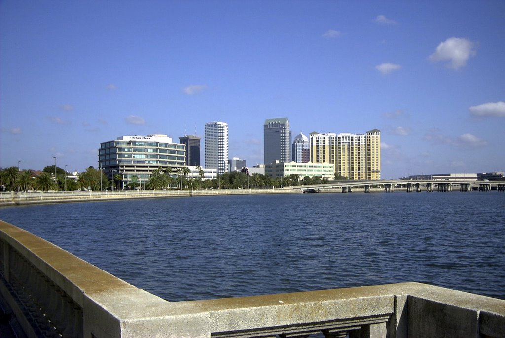 Bayshore Buld Tampa by Ed McCoy