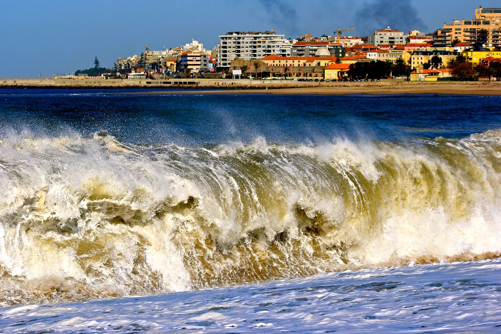 OPORTO FOZ TAKEM FROM CABEDELO NATURAL RESERVE. (DEDICATED TO CHRISTOS THEODOROU ). by Guizel