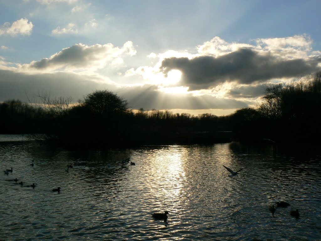 South Norwood Country Park by Mihalec Hedvig