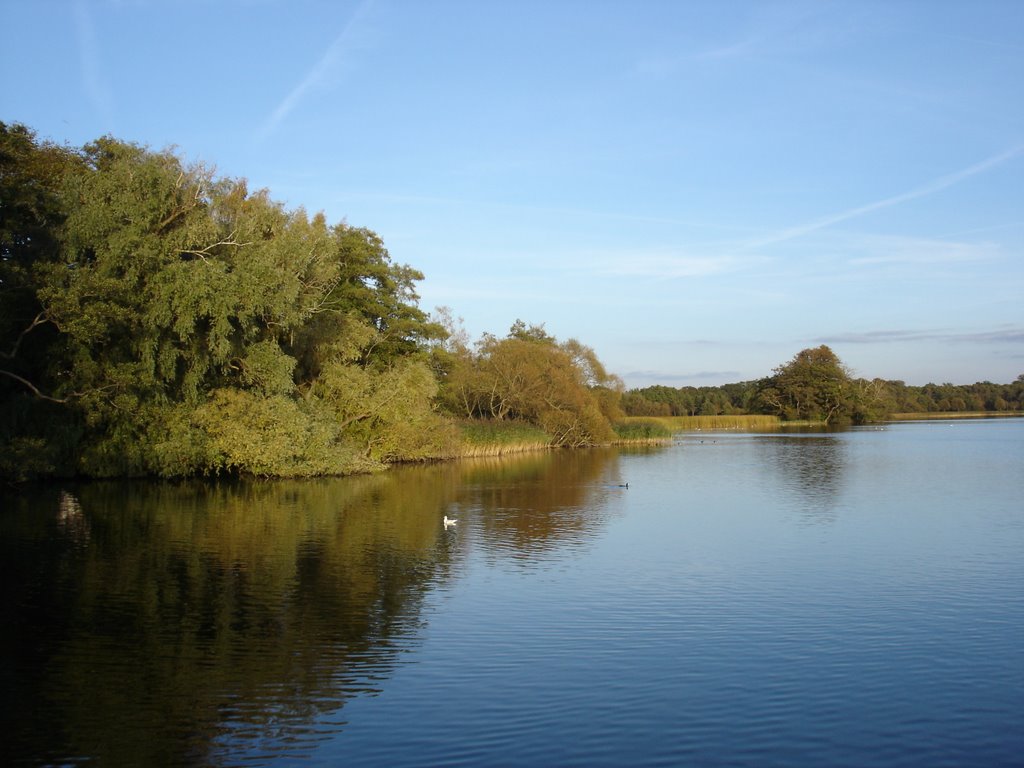 Ved Sorø Sø by Jens Cederskjold