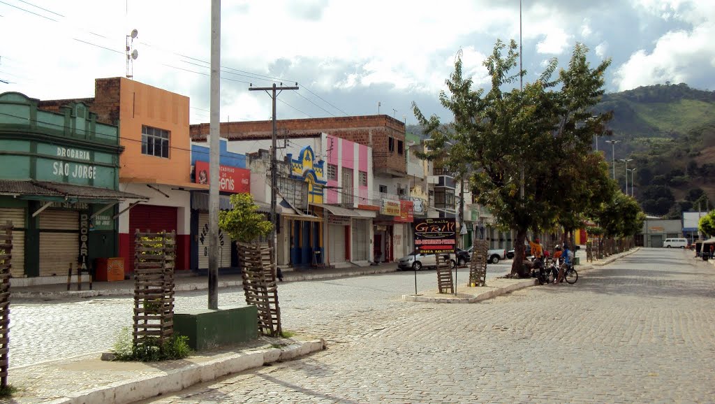 Avenida Dr Alberto de Oliveira by Orlando de Almeida Calado