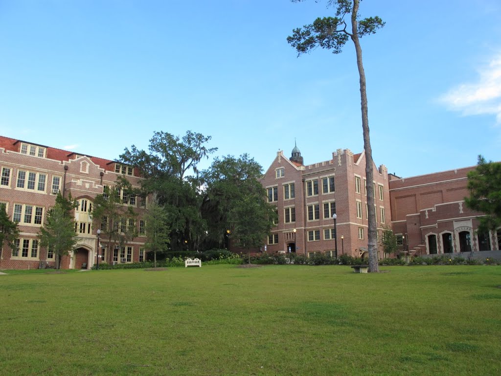 Florida State University by Morten Abrahamsen Andersen