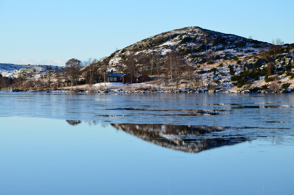 Icy reflections at Melsvatnet by Amelia Royan