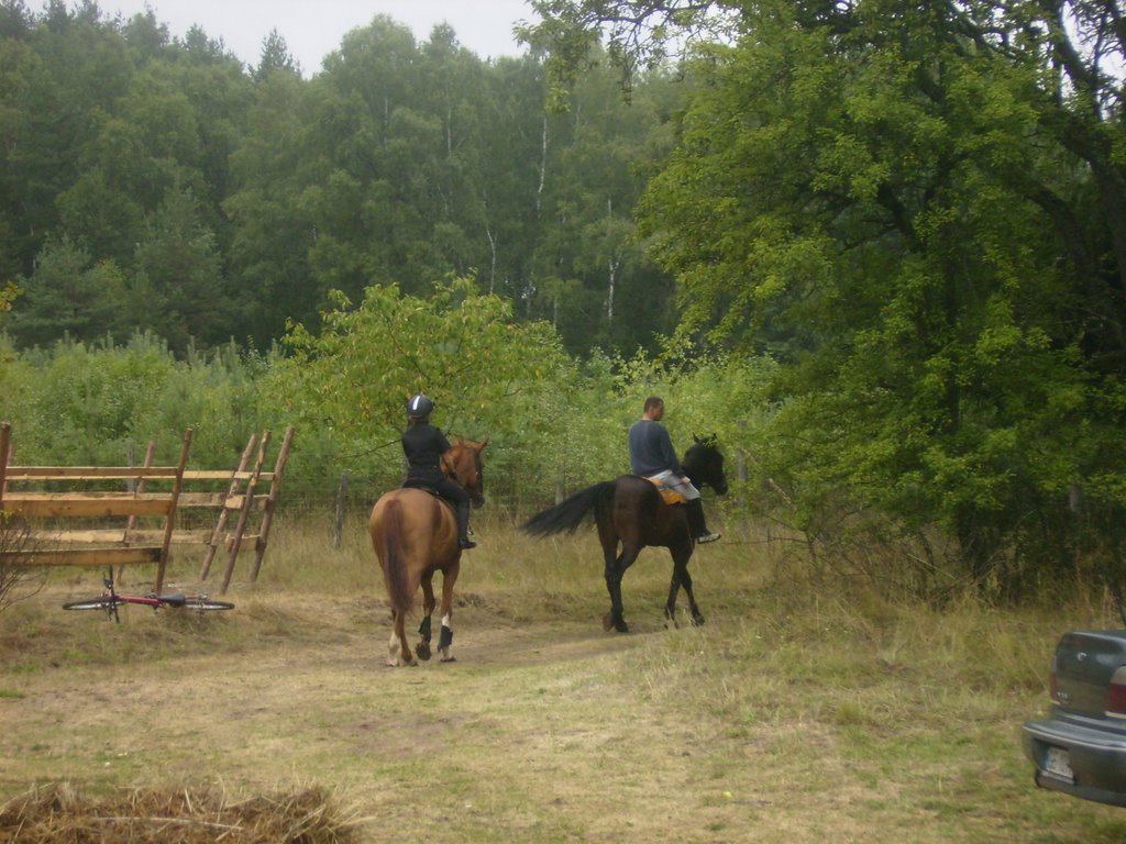 Stadnina koni w Krzyni by Darek61