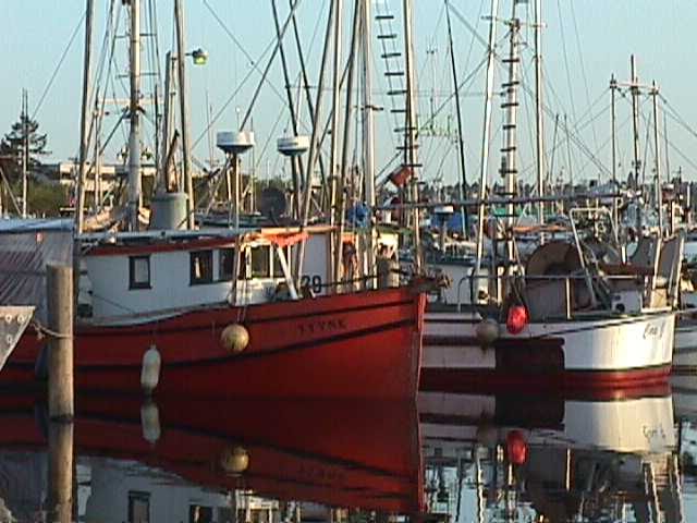 Fisherman's Terminal by Timothy Radonich