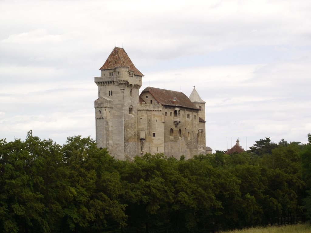 Burg Liechtenstein by froschman