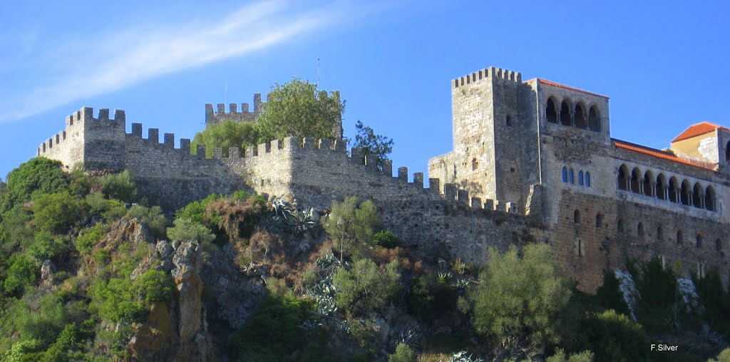 Castelo de Leiria by Fernão Silver