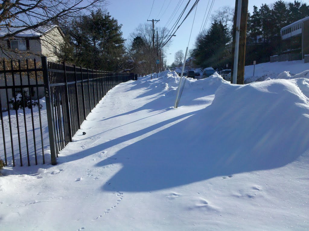 Hewitt Avenue sidewalk following "Snowmageddon" by SchuminWeb