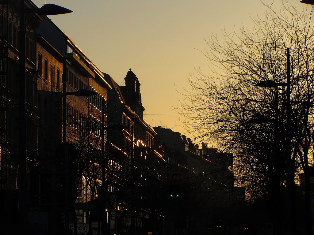 Dunkles Gold auf der Mariahilfer Straße (4.3.13) by e.m.r. 2 - a picture a day