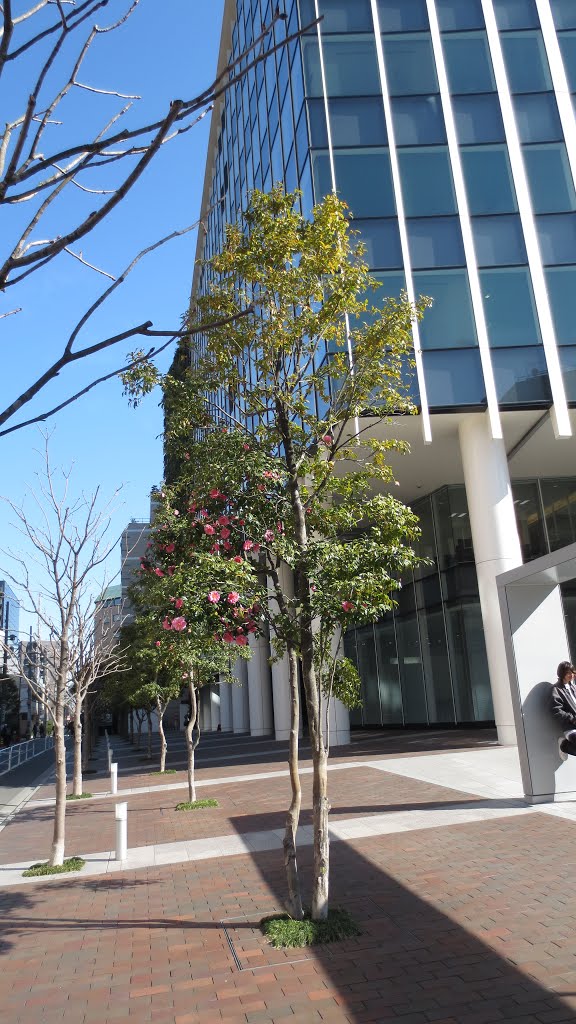 JICA Headquaters in Tokyo by Md Zakir Hossain