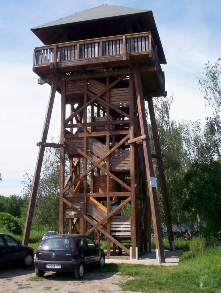 Aussichtsturm am Raßnitzer See by wdittner