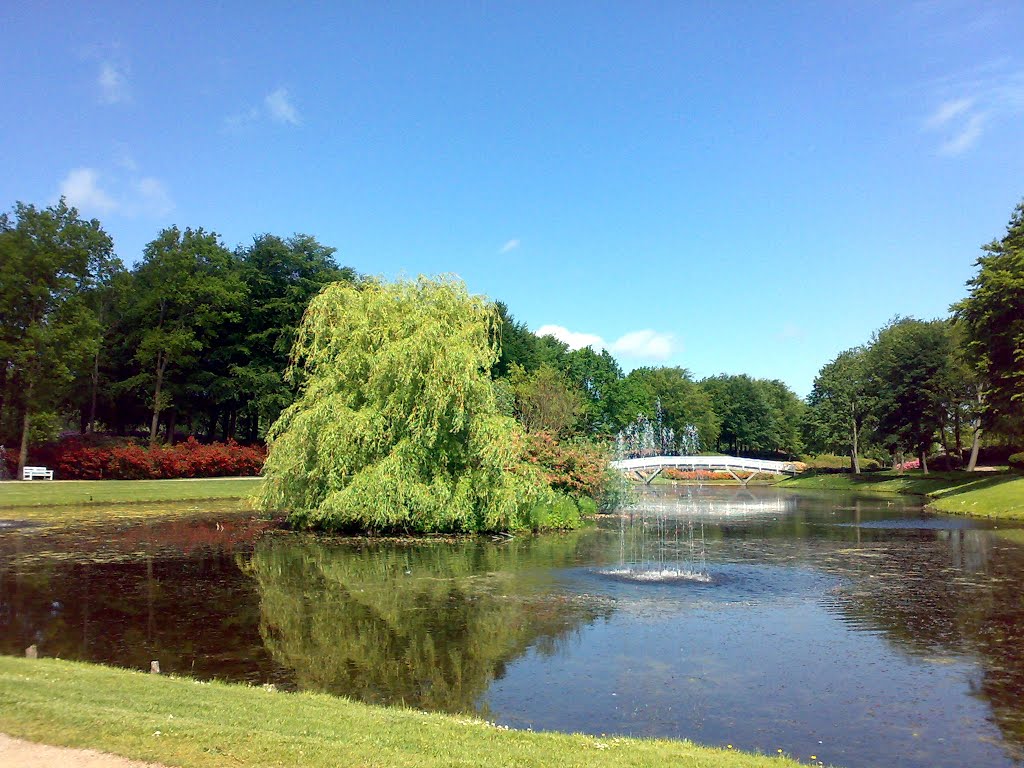 Rhododendron Park by Stendalhus