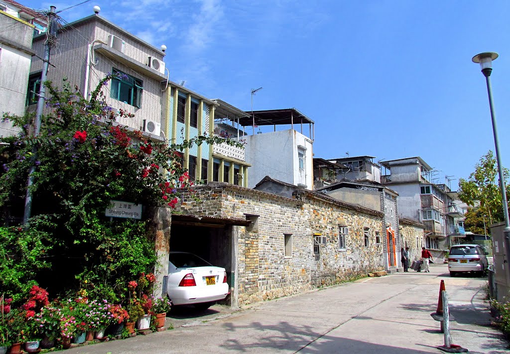 香港 元朗 屏山文物徑 Ping Shan Heritage Trail,Yuen Long,Hong Kong by Percy Tai  漆園童