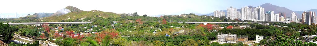 香港 西鐵線 朗屏站(右) 至 天水圍站(左) 路段 West Rail Line,MTR,between Long Ping Station(right) and Tin Shui Wai Station(left),Yuen Long,Hong Kong by Percy Tai  漆園童