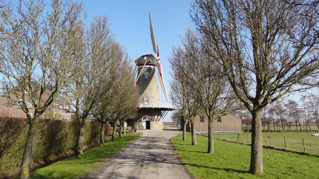 Wissenkerke ! mrt 2013 by Rene Molendijk