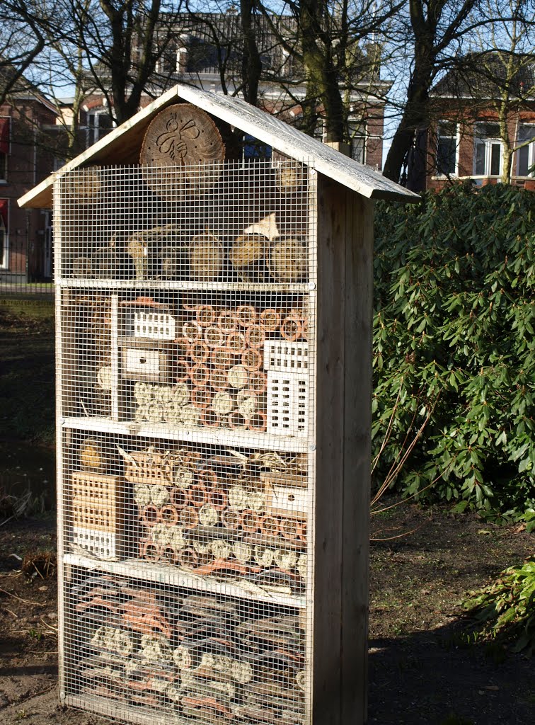 Het Wilde Bijenhotel in de Gouverneurstuin in Assen. by Hans R van der Woude