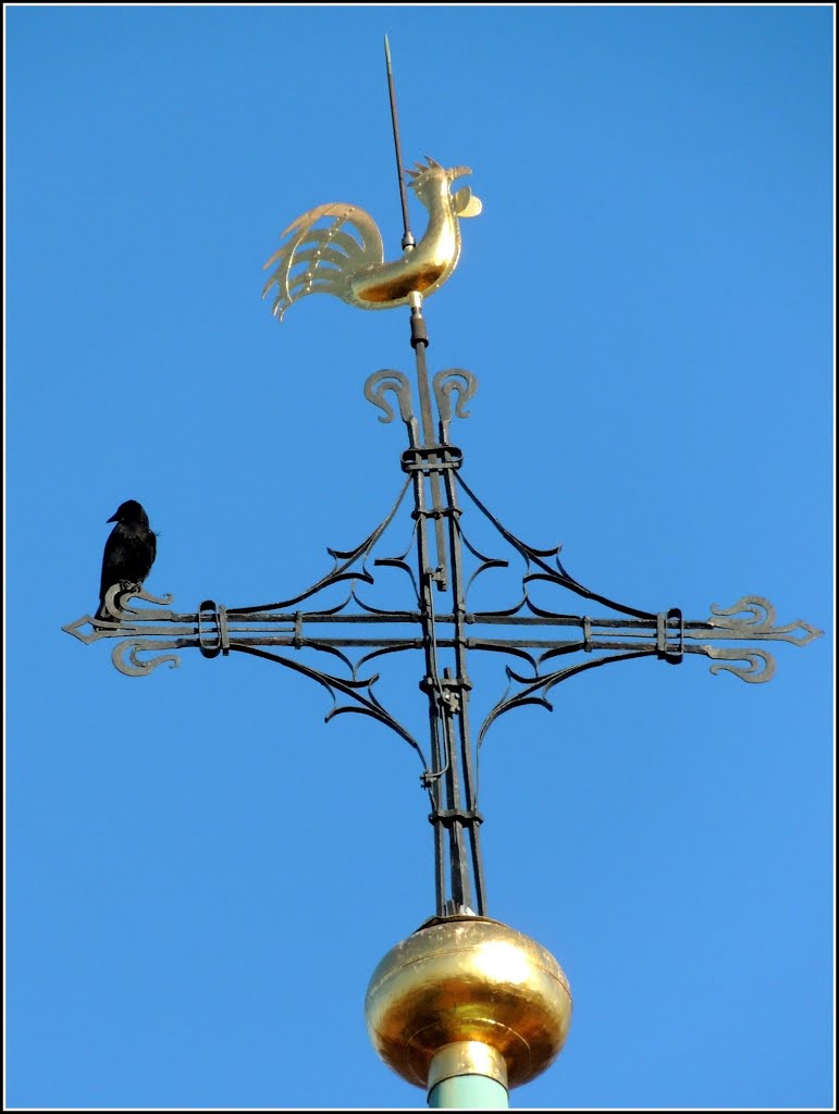 Sindelfingen - Kirche Sankt Martin - by Schelklinger