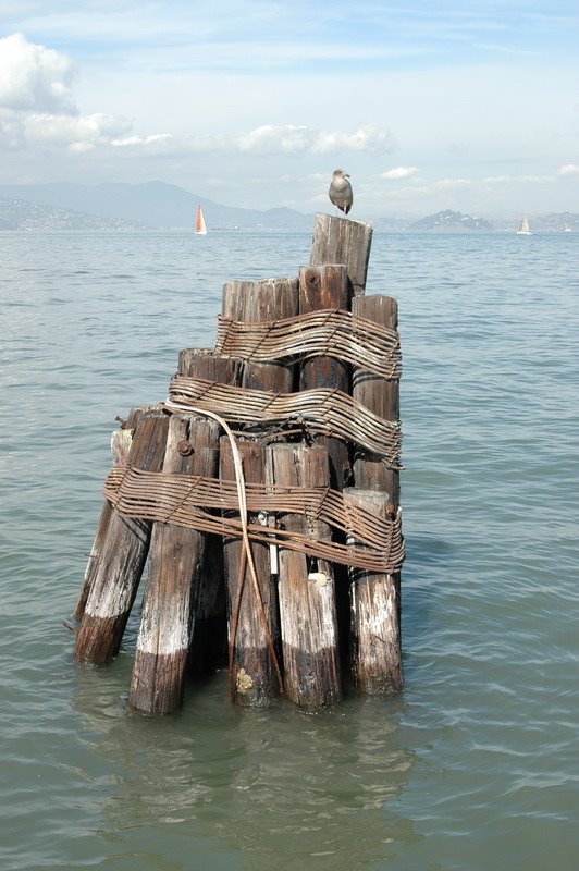 Fisherman's Wharf, San Francisco, CA, USA by Luis Alberto Benito