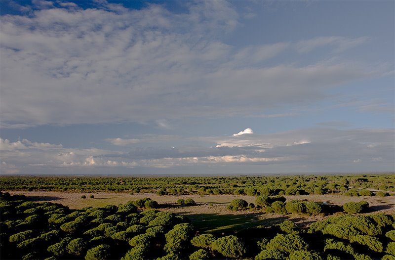 Vistas desde la Torre vigía de Laguna de Moguer by Pierre Marie Mouronv…