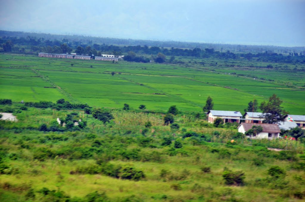 Arial view by yogesh masuria