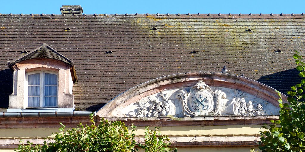 Ancienne mairie de Louhans (71) by Alain TREBOZ