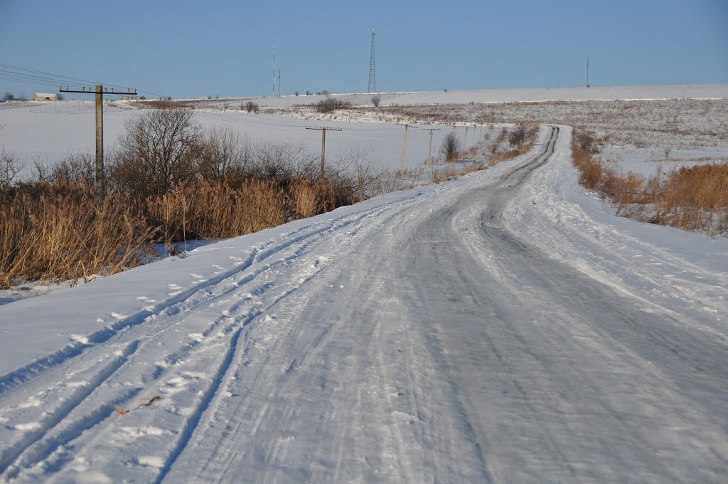 Road near Svirski Hlibovychi by Mykola Swarnyk