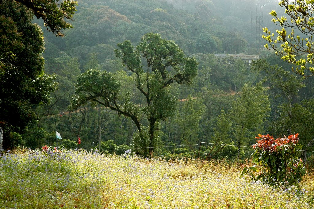 Nenmara, Kerala 678508, India by Abdul Manaf