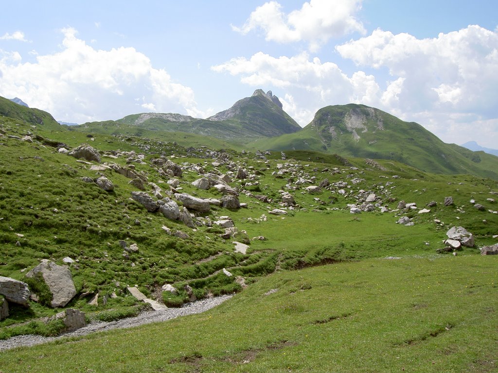 Champs de rochers by Mentonais