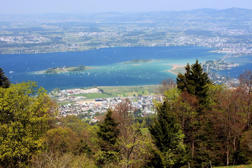 Blick Richtung Pfäffikon und Rapperswil by Uwe Häntsch