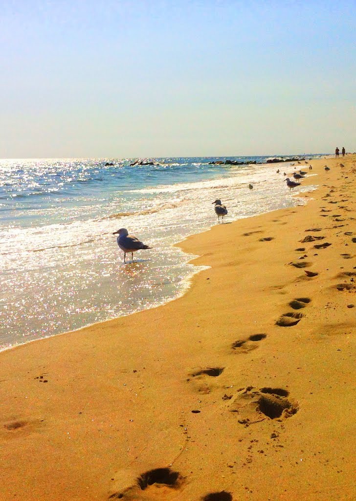 Late summer on Long Beach, NY by Venera Varbanova