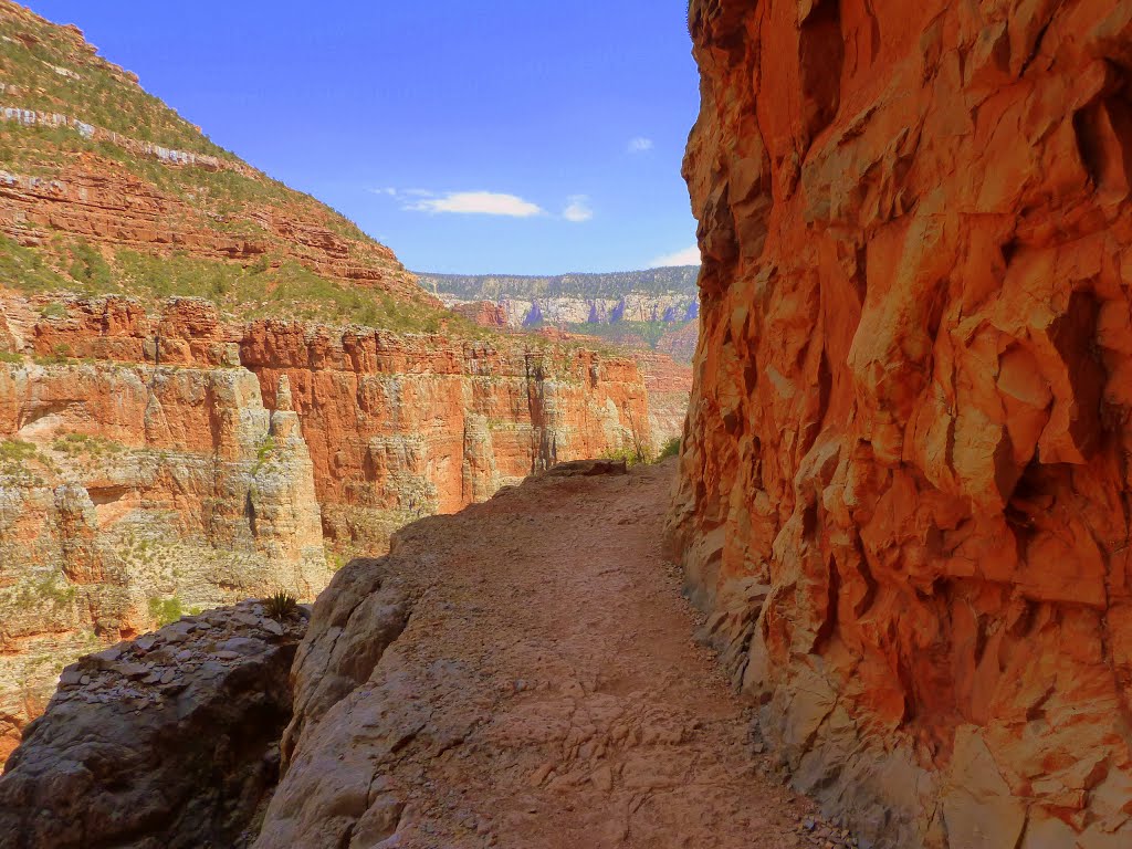 Grand Canyon, Northern Rim by Venera Varbanova