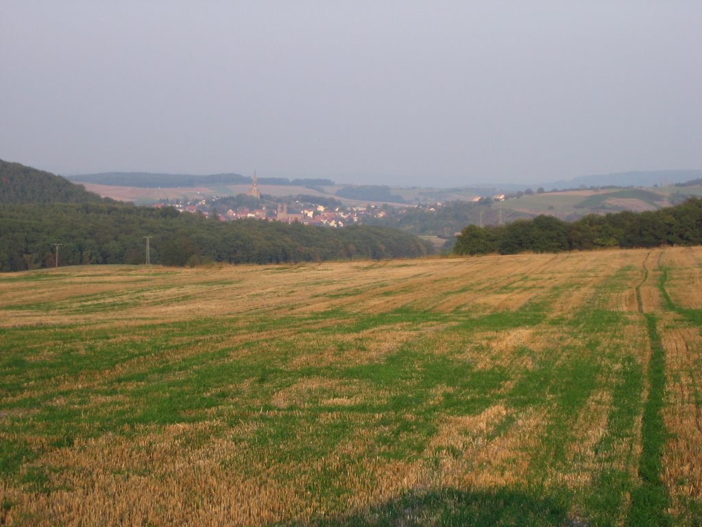 Spätsommer - Im Hintergrund Waldböckelheim by giggel